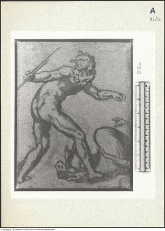 Vorderseite von bh358613_recto