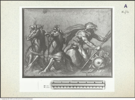 Vorderseite von bh358614_recto