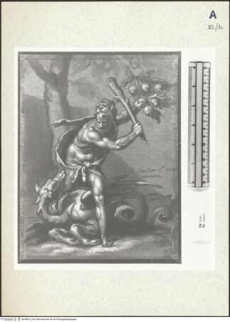 Vorderseite von bh358615_recto