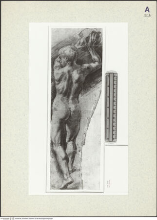 Vorderseite von bh358768_recto