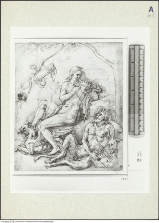 Vorderseite von bh358769_recto