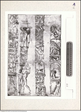 Vorderseite von bh358774_recto