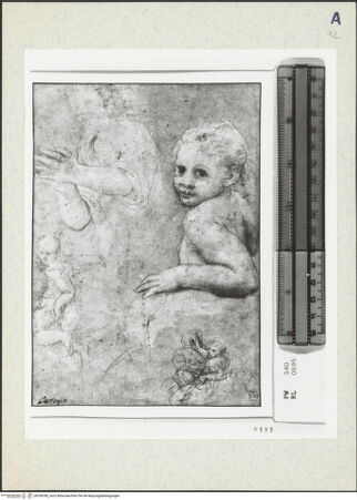 Vorderseite von bh358780_recto