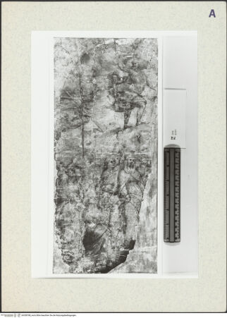 Vorderseite von bh358788_recto