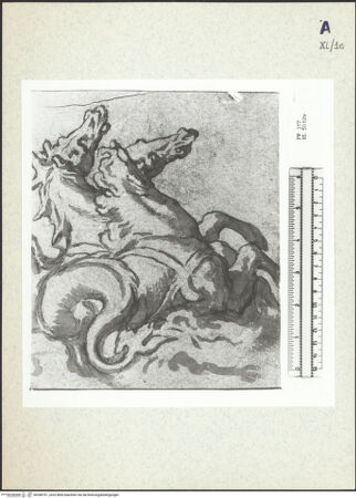 Vorderseite von bh358791_recto