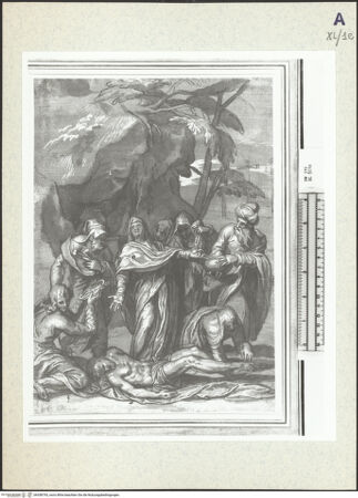 Vorderseite von bh358793_recto