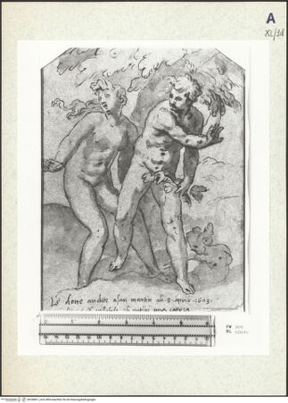 Vorderseite von bh358801_recto