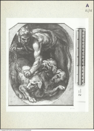 Vorderseite von bh358810_recto