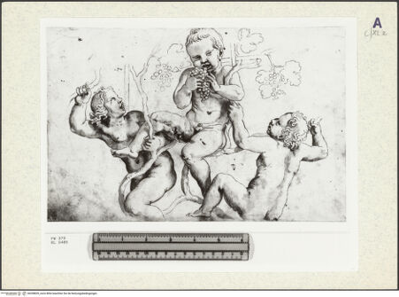 Vorderseite von bh358835_recto