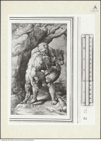 Vorderseite von bh358838_recto