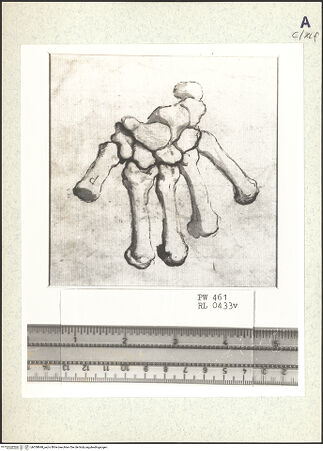 Vorderseite von bh358848_recto