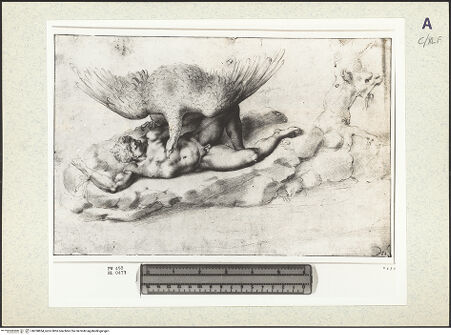 Vorderseite von bh358854_recto