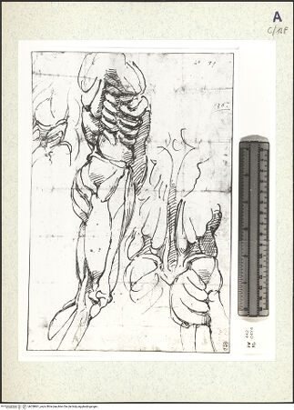 Vorderseite von bh358861_recto