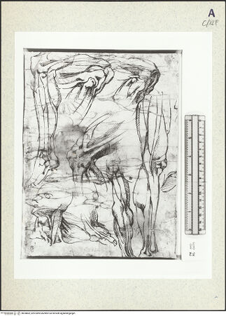 Vorderseite von bh358862_recto