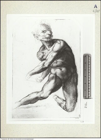 Vorderseite von bh358863_recto