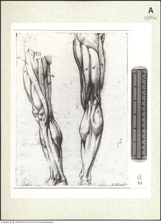 Vorderseite von bh358869_recto