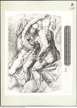 Vorderseite von bh358874_recto