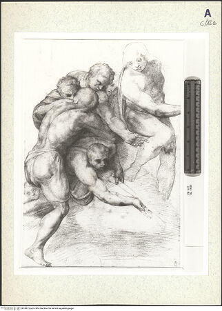 Vorderseite von bh358875_recto