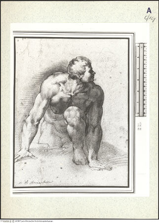 Vorderseite von bh358877_recto