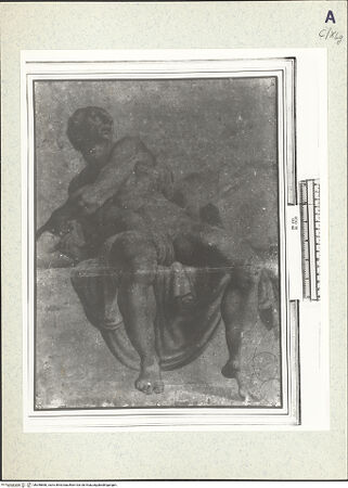 Vorderseite von bh358880_recto