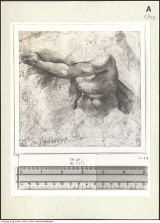 Vorderseite von bh358884_recto