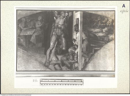 Vorderseite von bh358886_recto