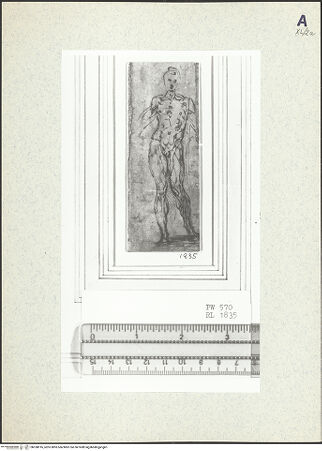 Vorderseite von bh358916_recto