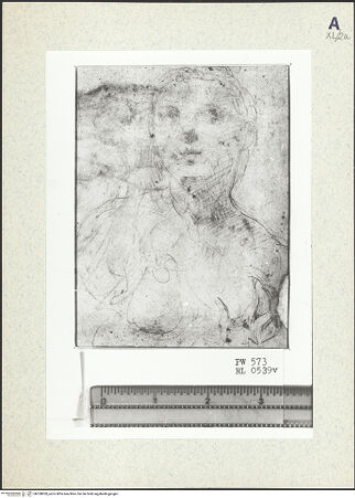 Vorderseite von bh358920_recto