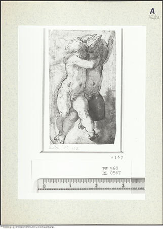 Vorderseite von bh358924_recto