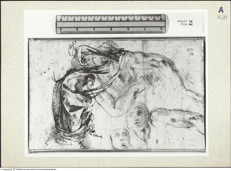 Vorderseite von bh358928_recto