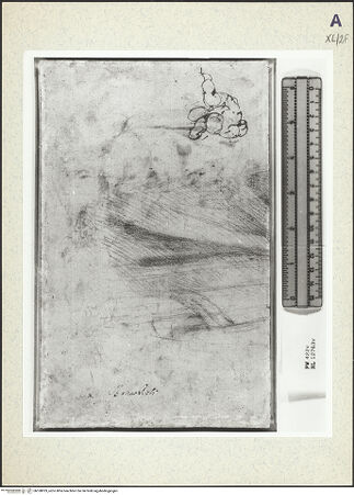 Vorderseite von bh358929_recto