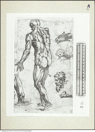 Vorderseite von bh358931_recto