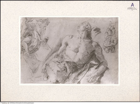 Vorderseite von bh359604_recto