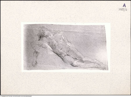 Vorderseite von bh359607_recto