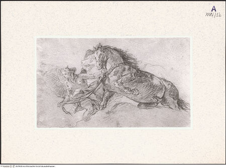 Vorderseite von bh359608_recto