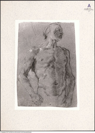 Vorderseite von bh359609_recto