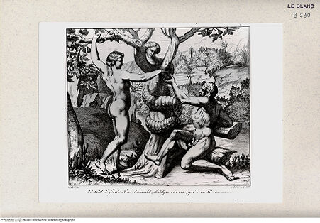Vorderseite von Istituto Nazionale per la Grafica [http://creativecommons.org/publicdomain/mark/1.0/] Serie nach den biblischen Geschichten der Vatikanischen LoggienDer Sündenfall (Bl. 6) - , bh359691. Foto.