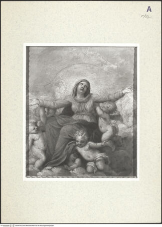 Vorderseite von bh359759_recto