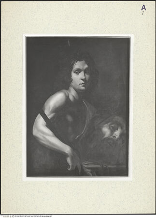 Vorderseite von bh359773_recto