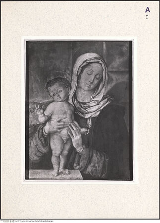 Vorderseite von bh359799_recto