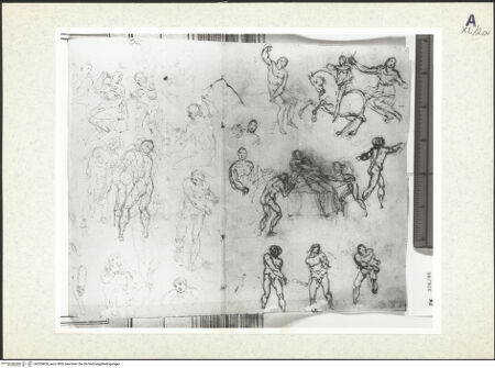 Vorderseite von bh359838_recto