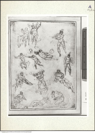 Vorderseite von bh359839_recto