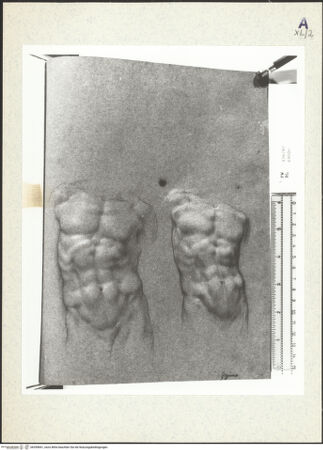 Vorderseite von bh359841_recto