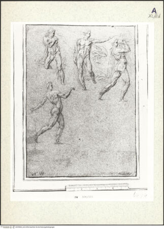 Vorderseite von bh359860_recto