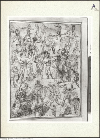 Vorderseite von bh359866_recto