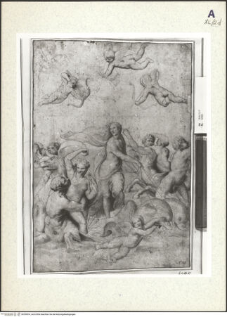 Vorderseite von bh359874_recto