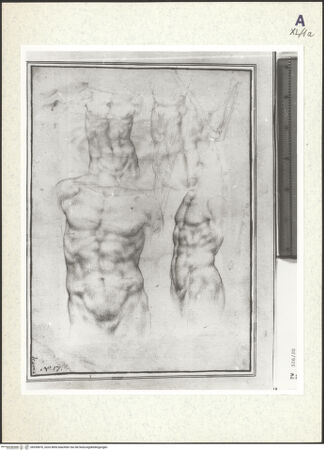 Vorderseite von bh359876_recto