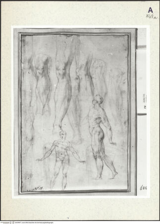 Vorderseite von bh359877_recto