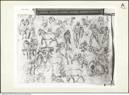 Vorderseite von bh359881_recto