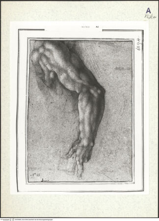 Vorderseite von bh359885_recto